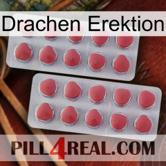 Dragon Erection 19